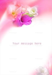 تصویر با کیفیت کارت پستال